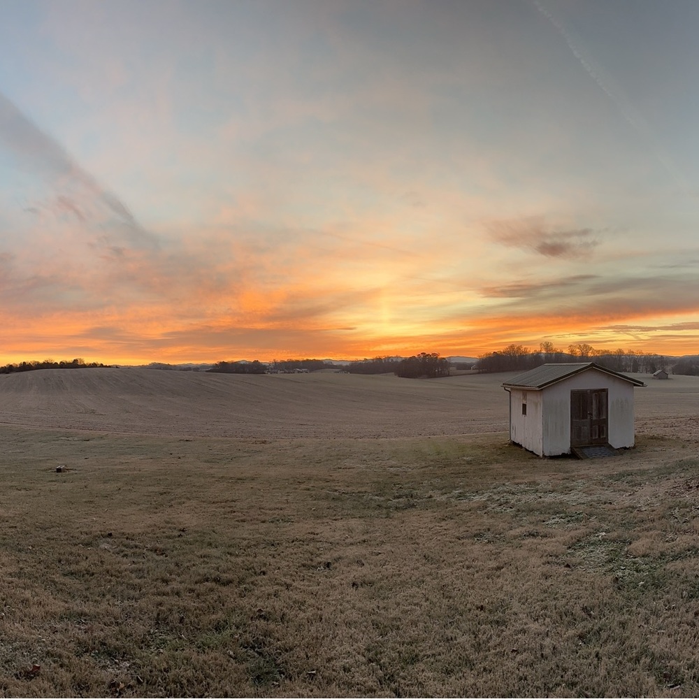 Meet your Posher, Bamafan269